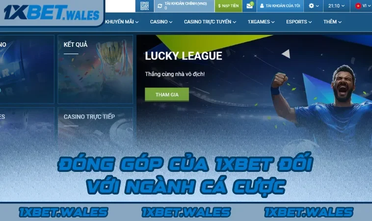 Đóng góp của 1XBET đối với ngành cá cược
