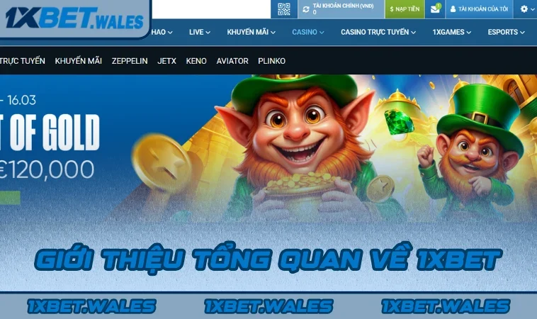 Giới thiệu tổng quan về 1XBET