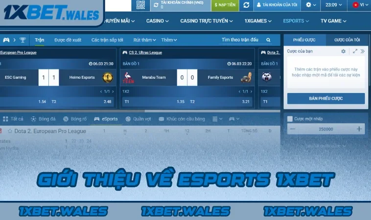 Giới thiệu về Esports 1XBET
