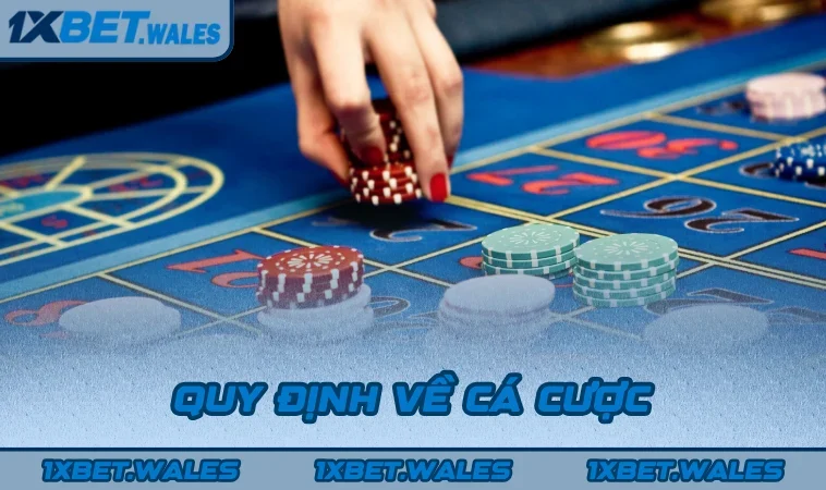Quy định về cá cược
