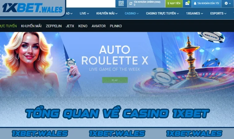 Tổng quan về Casino 1XBET